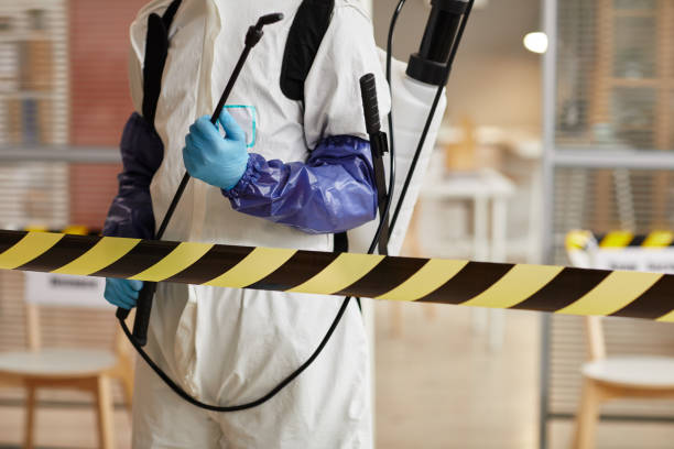 Professional Sewage Cleanup technician working in Magnetic Springs, OH